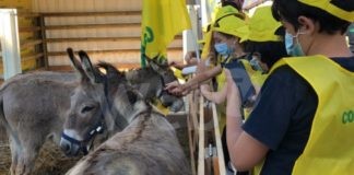 Russi: una Fira contadina con Campagna Amica e Coldiretti