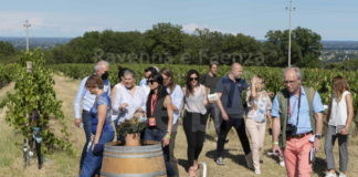 Giornalisti internazionali alla scoperta della Romagna enologica: incontri anche nel faentino