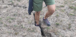 Ancisi (LpRa): Problemi da cani nelle aree di sgambamento