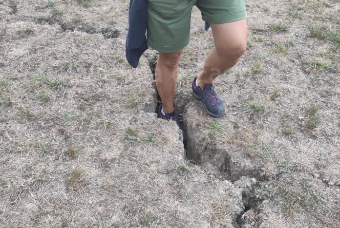 Creper profonde nell'area cani di via Sansovini