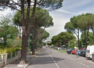 Lugo, pini giudicati pericolosi in viale Europa. Il Comune procederà all’abbattimento