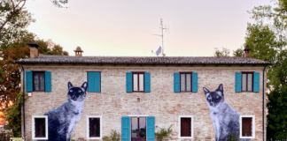 Equidistanze: mostra collettiva di 15 artiste a Filetto. Le opere nate durante il lockdown