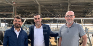 De Pascale: “Al via il progetto esecutivo del nuovo ponte di via Corriera Antica”