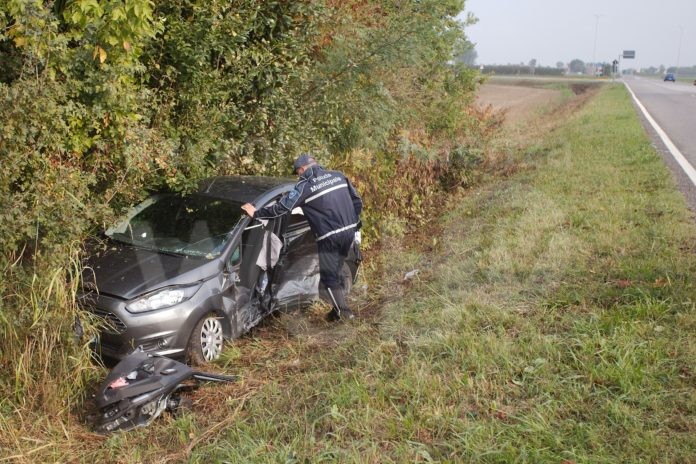 WhatsApp Image 2021-09-27 at 11.16.58