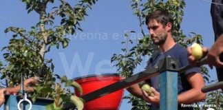 Viaggio fra i Giovani Cooperatori: Michele Dal Bosco di Agrintesa