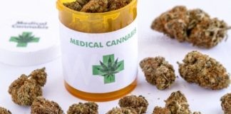Gasperoni (AdC): Cannabis terapeutica un valido aiuto per chi soffre, ma impossibile da reperire a Ravenna