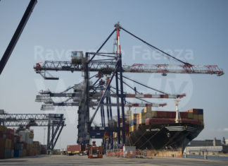 Nuova gru in TCR: “un investimento utile alla competitività del porto di Ravenna”