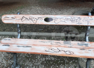 Danneggiata la panchina dei nonni, la condanna dell’amministrazione comunale