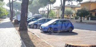 Legambiente: Lugo viale Europa, alberi pericolosi o aiuole non a norma?