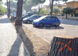Legambiente: Lugo viale Europa, alberi pericolosi o aiuole non a norma?