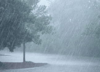 Maltempo: domani temporali in Emilia Romagna, prorogata l’allerta arancione