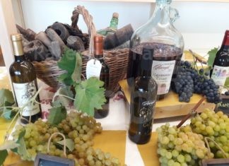 Dalla Terra al Bicchiere: al mercato contadino di Campagna Amica Ravenna si celebra il rito della vendemmia