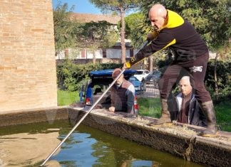 Enpa Ravenna: Salvataggio pesci rossi