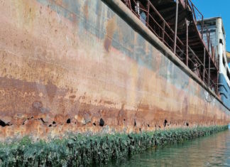 Italia Nostra: Autorità Portuale Ravenna e querele a stampa, politici e cittadini. Intoccabili?