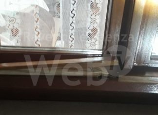 Topi d’appartamento in azione nel fine settimana: numerose segnalazioni