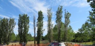 Sabato 9 ottobre inaugura l’ampliamento dell’Oami Skate Park