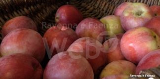 La Festa dei Frutti Dimenticati arriva alla 30^ edizione: tante novità