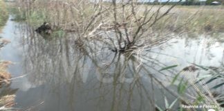 Lotras: ritardi nelle bonifiche a causa del maltempo. Si riempie la cassa di laminazione