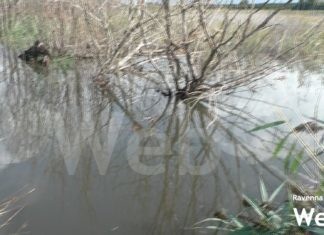 Lotras: ritardi nelle bonifiche a causa del maltempo. Si riempie la cassa di laminazione