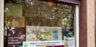 Ravenna, l’educazione alla Campagna Amica arriva in città: i lavori delle scuole in vetrina alla Camera di Commercio