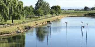 Unione: due pedalate che attraversano la Bassa Romagna alla scoperta della land art e degli angoli più suggestivi