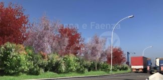 Autostrada dei Fiori ed Ecogest lanciano un progetto di riqualificazione a verde delle aree di servizio presenti lungo l’autostrada A6