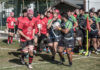Rugby: Esordio vincente per i galletti, 22-14 sul Rugby Napoli Afragola