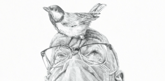 Una mostra e due presentazioni di libri il prossimo fine settimana a Bottega Bertaccini