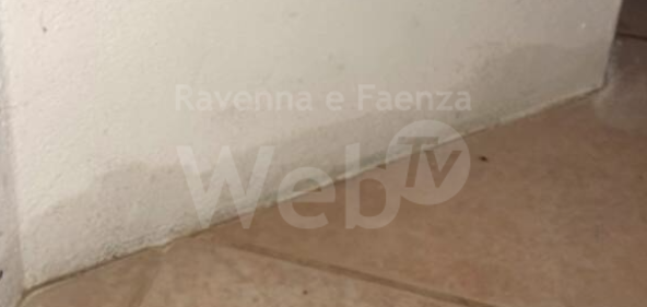 Schermata 2021-10-11 alle 16.21.28