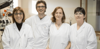 Prevenzione dei tumori e del melanoma: domenica anche i professionisti IOR a “Teodorico in Fitness”