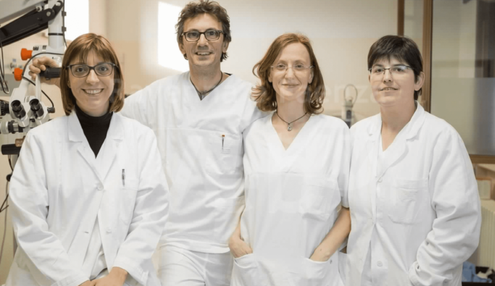 Schermata 2021-10-13 alle 17.14.10