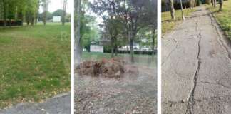 Leo (Lista per Ravenna e Amici Animali): Petizione apolitica per un’area cani tra le vie Suzzi e Palladio