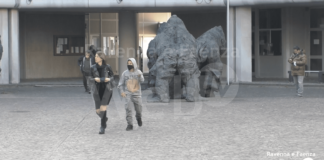 Ilenia Fabbri, al processo parla la figlia Arianna: “Ho gli incubi, rivedo il corpo di mia madre” |VIDEO