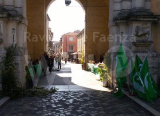 La Spesa in Campagna: Torna il mercato dei produttori agricoli di Cia-Agricoltori Italiani Romagna