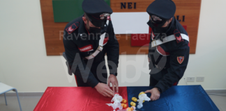 Sorpreso in auto con 14 grammi di cocaina e a casa tutto il necessario per lo spaccio