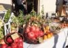 Grande successo per la 30ª Festa dei Frutti Dimenticati