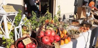Grande successo per la 30ª Festa dei Frutti Dimenticati