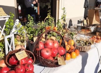 Ucraina: Coldiretti, record di export frutta in Germania, ma grande aumento delle spese trasporti