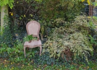 Ritorna la manifestazione “Giardini Segreti” in versione autunnale