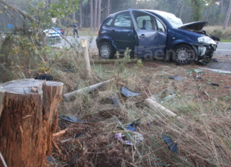 Grave incidente questa mattina. Auto esce di strada e centra un pino tagliato. Conducente trasportato al Bufalini