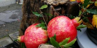 Antichi sapori e saperi della campagna con “Grani e melograni” a Oriolo dei Fichi