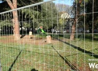 Riapre il parco di Piazza Dante: prima i lavori di potatura, poi la riapertura alla cittadinanza | VIDEO