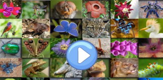 Il Consorzio di Bonifica vara la nuova edizione del concorso per le scuole “Acqua & Territorio”