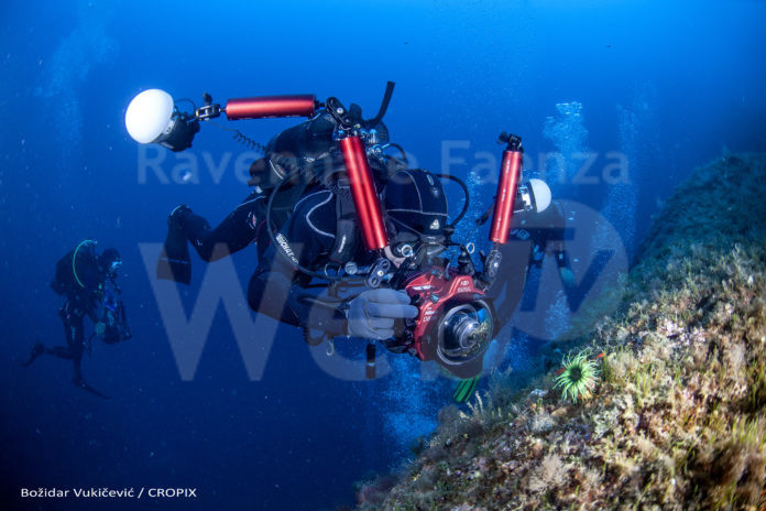 Bozidar Vukicevic_Cropix1