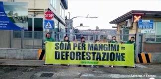 Greenpeace in protesta davanti alla Bunge: “Soia per mangimi uguale a deforestazione” | VIDEO