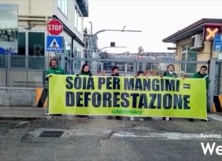 Greenpeace in protesta davanti alla Bunge: “Soia per mangimi uguale a deforestazione” | VIDEO