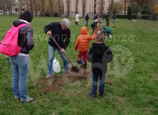 Ravenna: Alberi per il futuro 2021