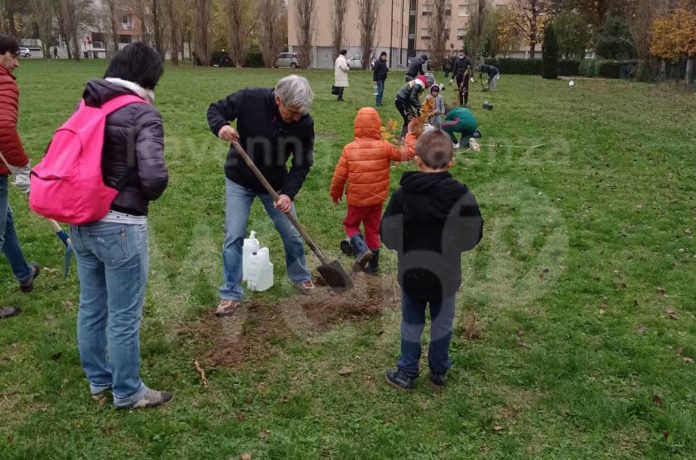 IMG_20211121_134639_287