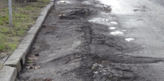 Ancisi (LpRa): “Degrado da radici, si interviene su Lido di Classe”