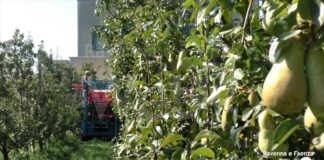 Giornata del ringraziamento alla parrocchia di S.Stefano